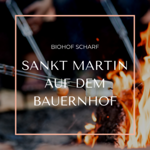 Sankt Martin auf dem Bauernhof @ Biohof Scharf